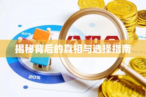 邳州揭秘背后的真相与选择指南