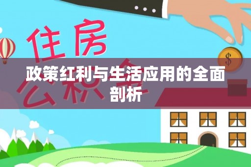 邳州政策红利与生活应用的全面剖析