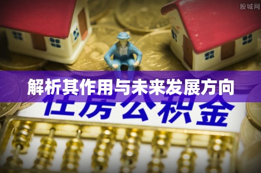 邳州解析其作用与未来发展方向